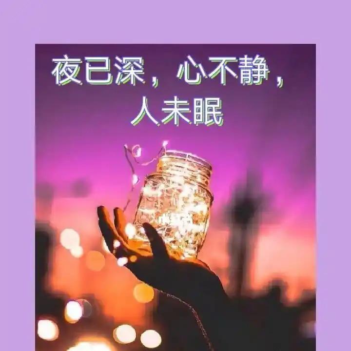 成年虎