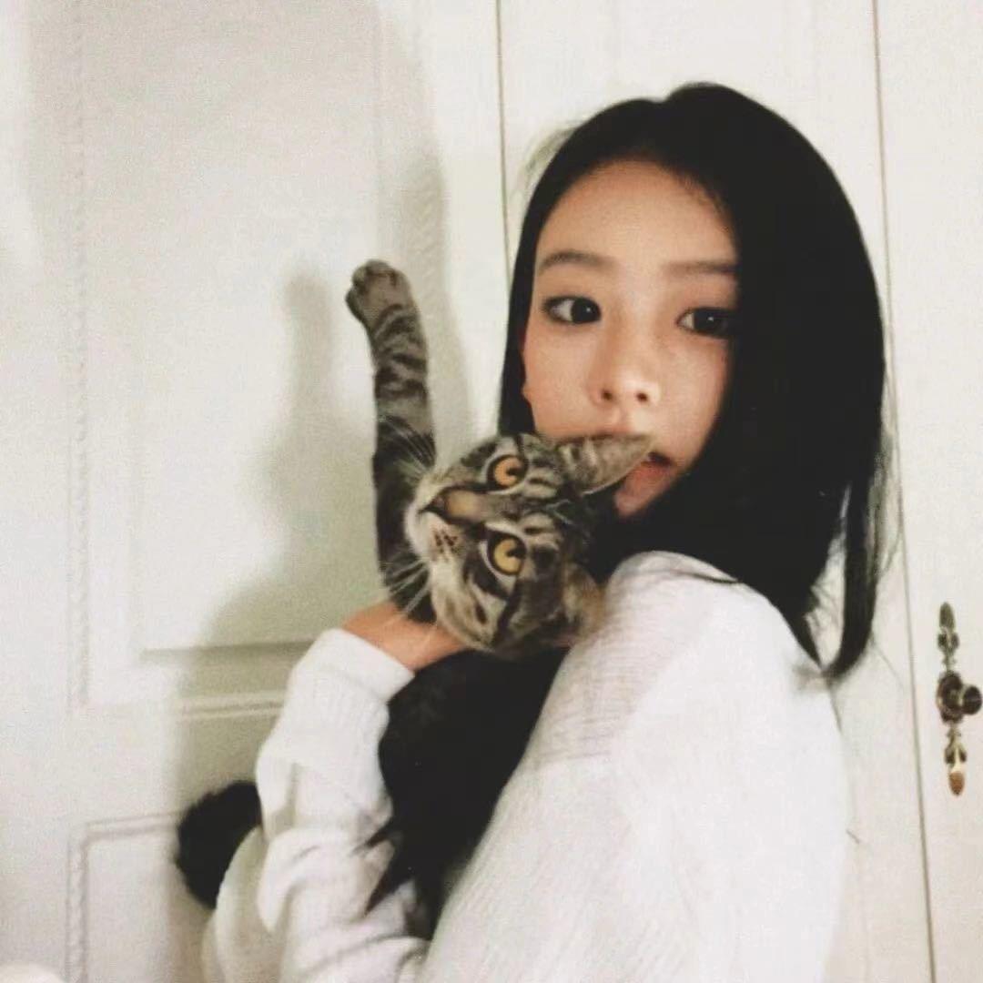 菜大炮
