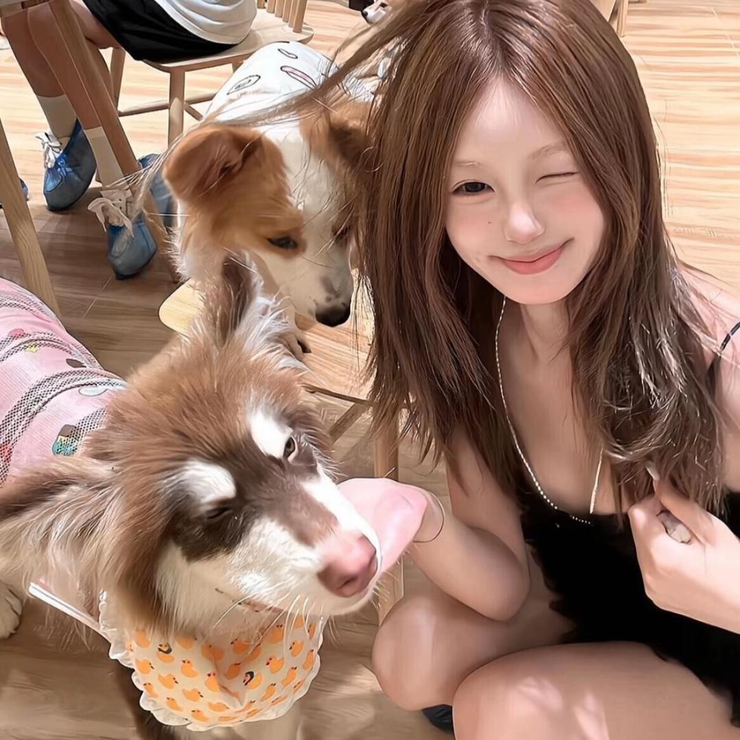 星雨靓妹儿.🐚