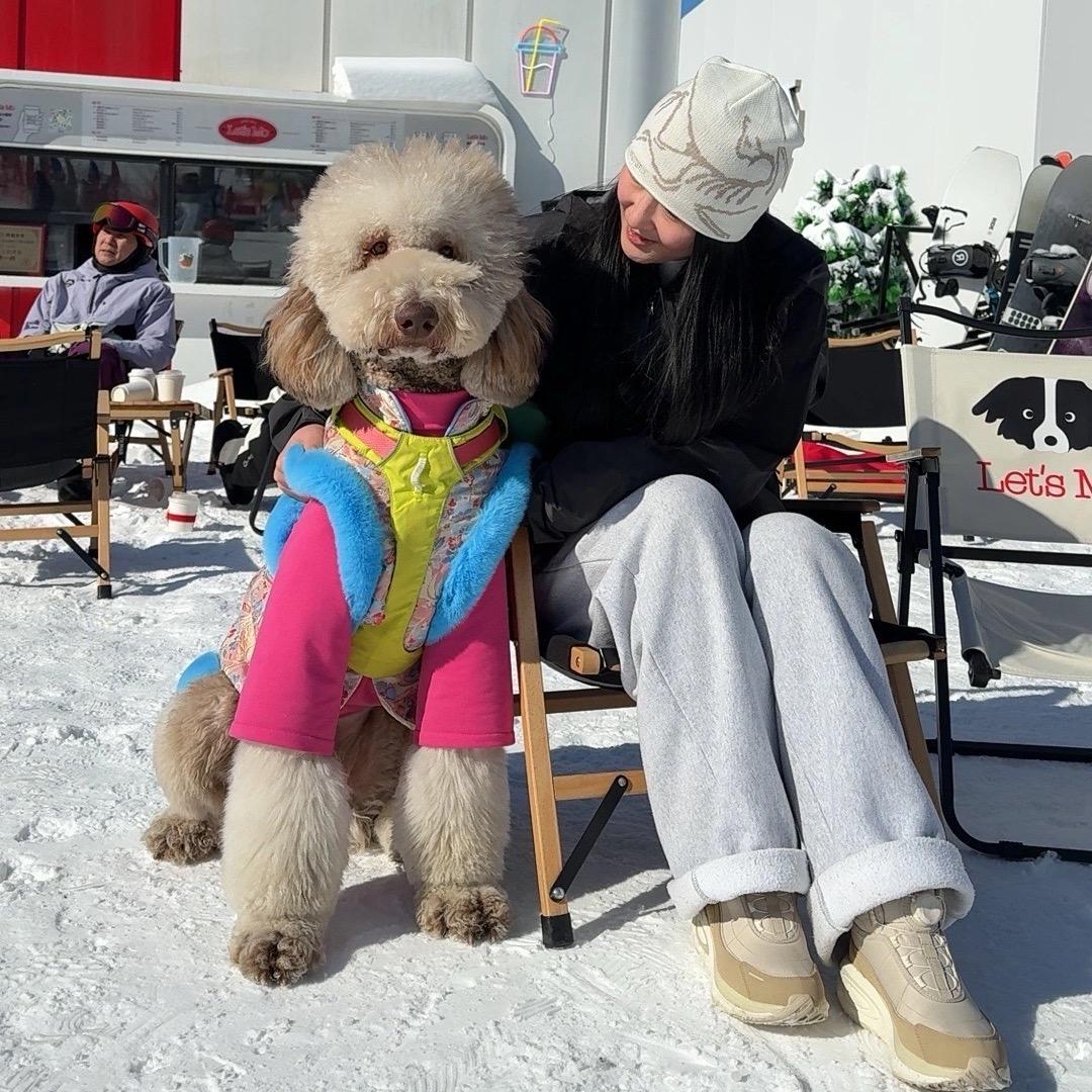 马赫不会滑雪🏂