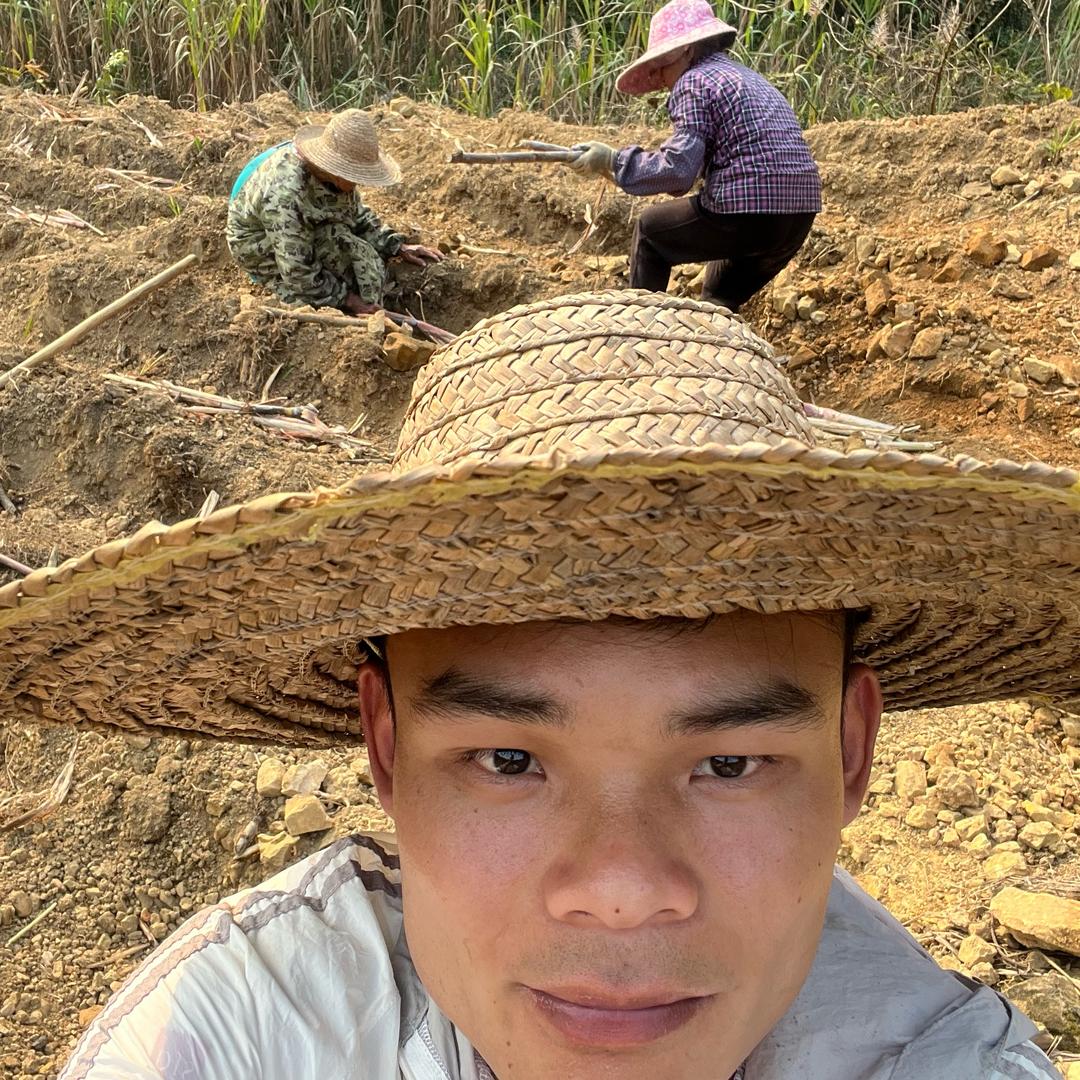 (小合) - 很平凡