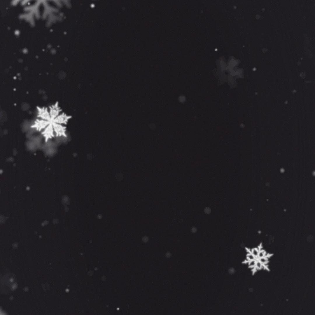 四川振奇世优品生活坊