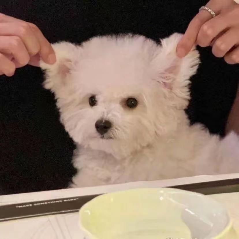 江淮淮淮淮
