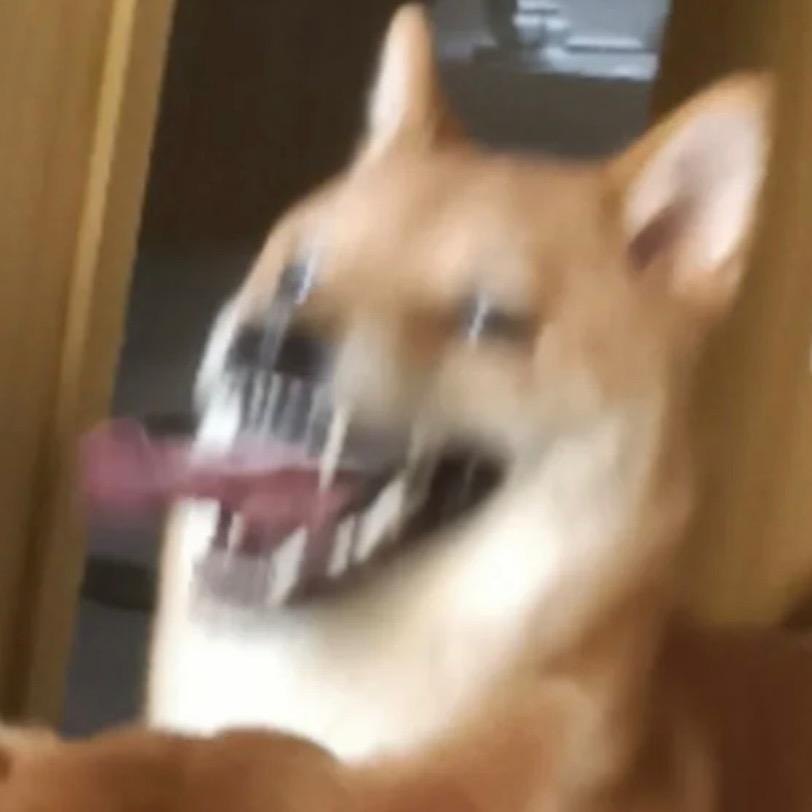 延鹏编程