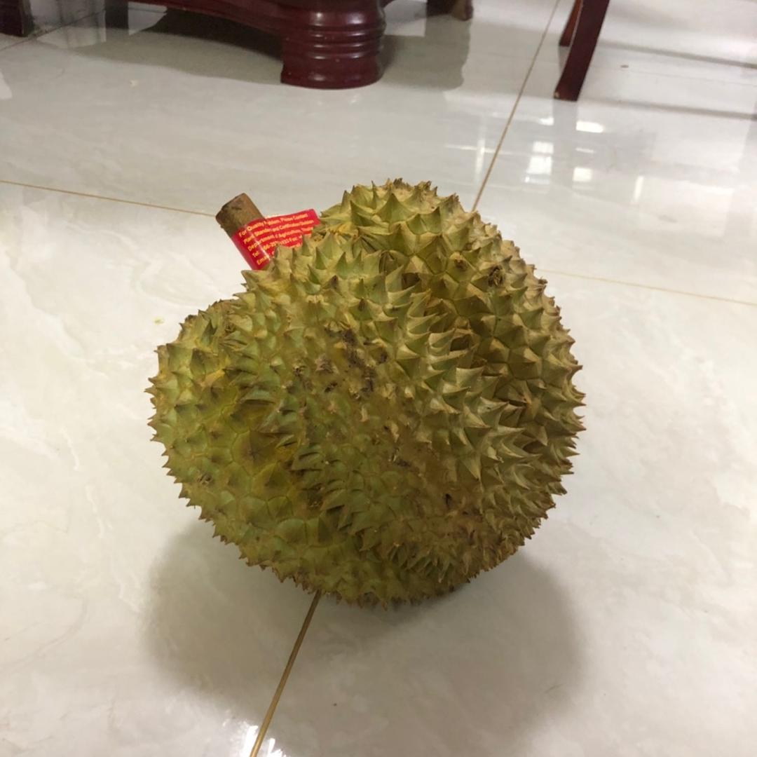 壹棵树