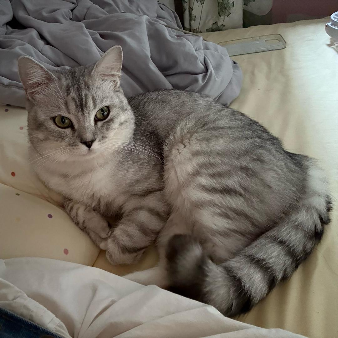 爱看美男哭唧唧