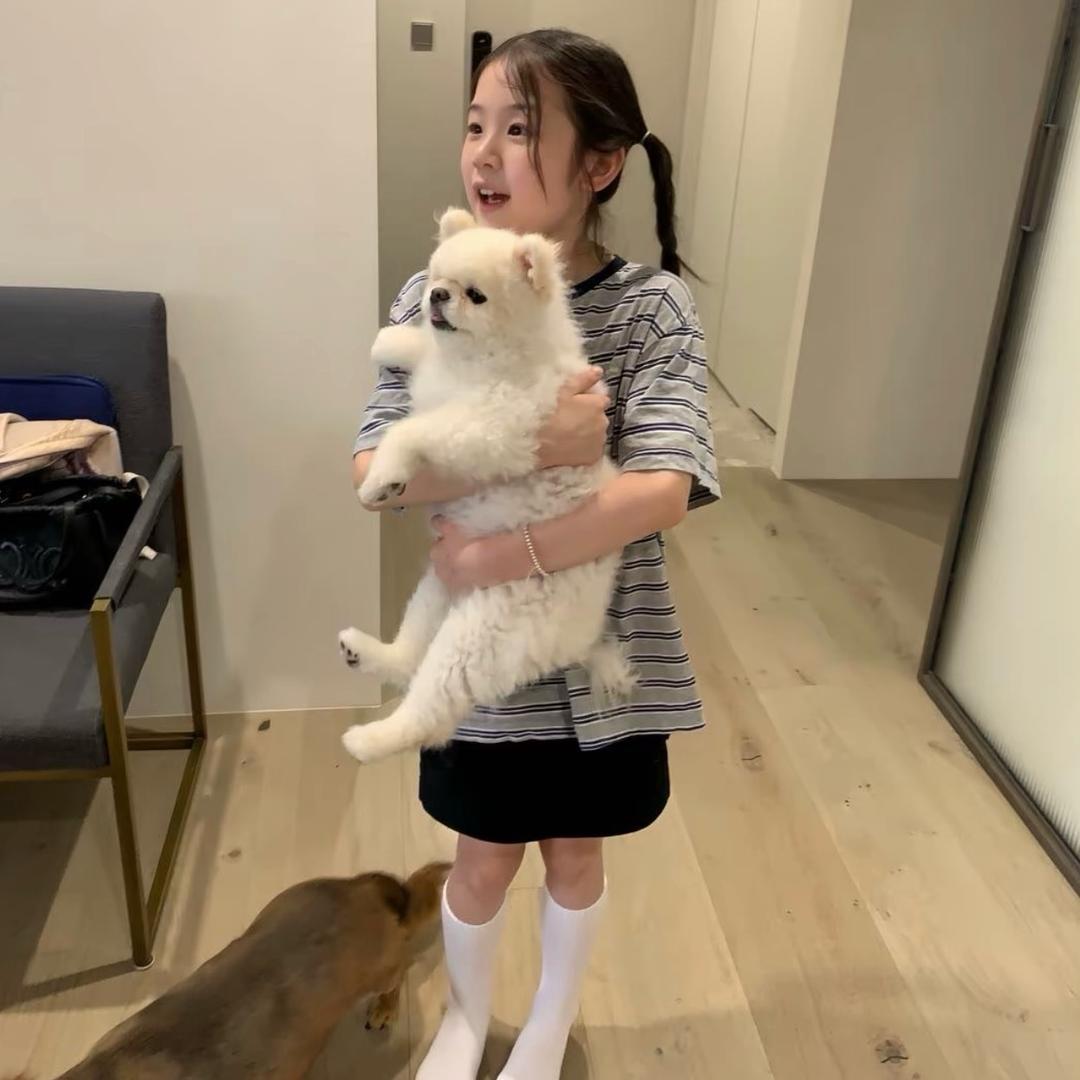 如 初🐾