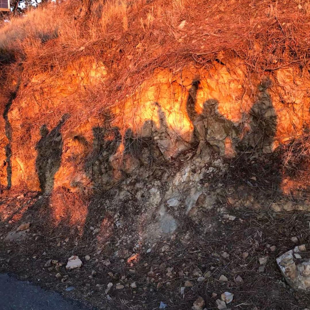 大连老徐逛地摊