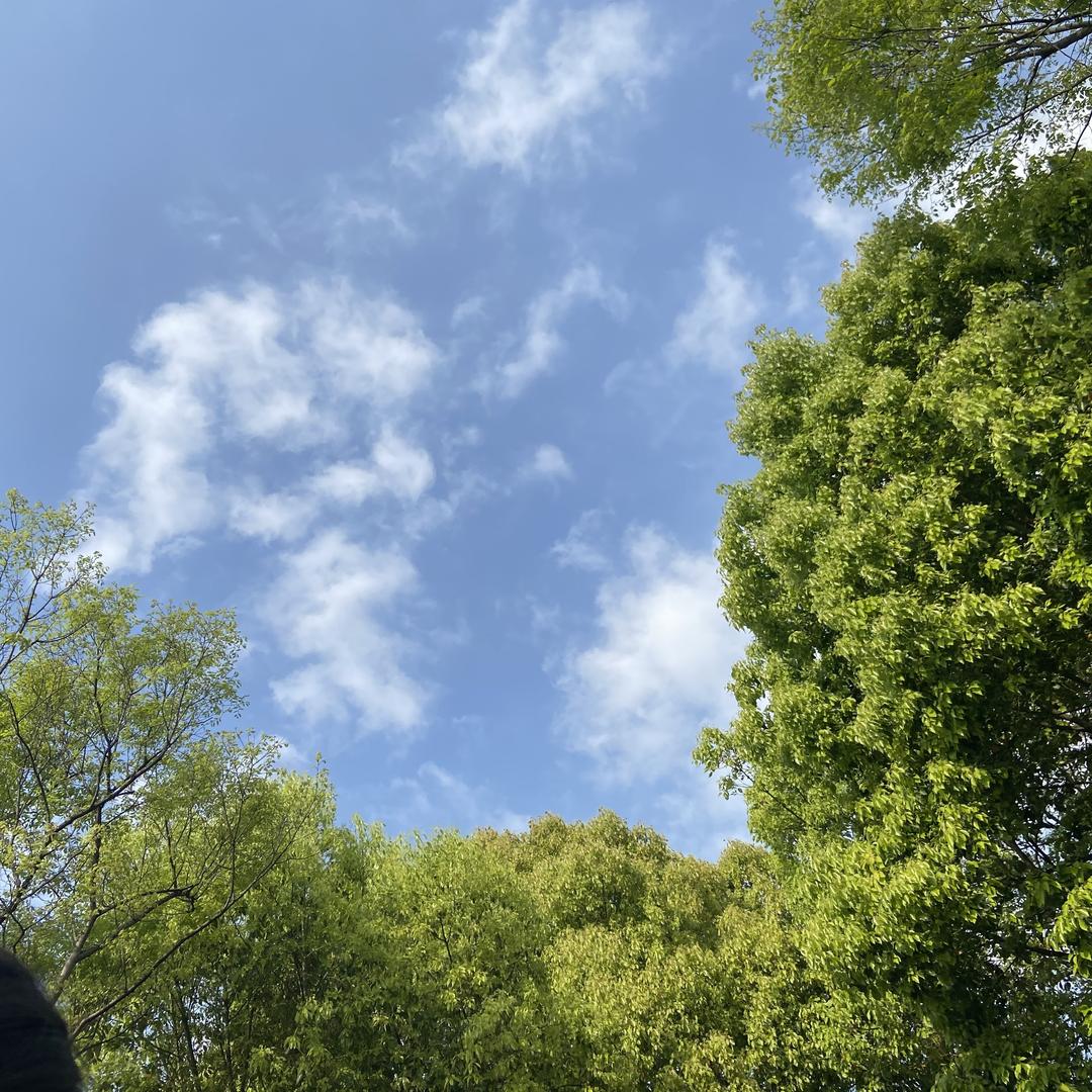 什么时候发财💰