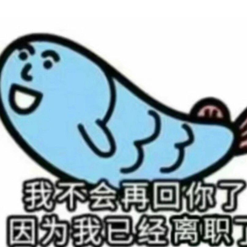 n109区暗点组织羽毛贩