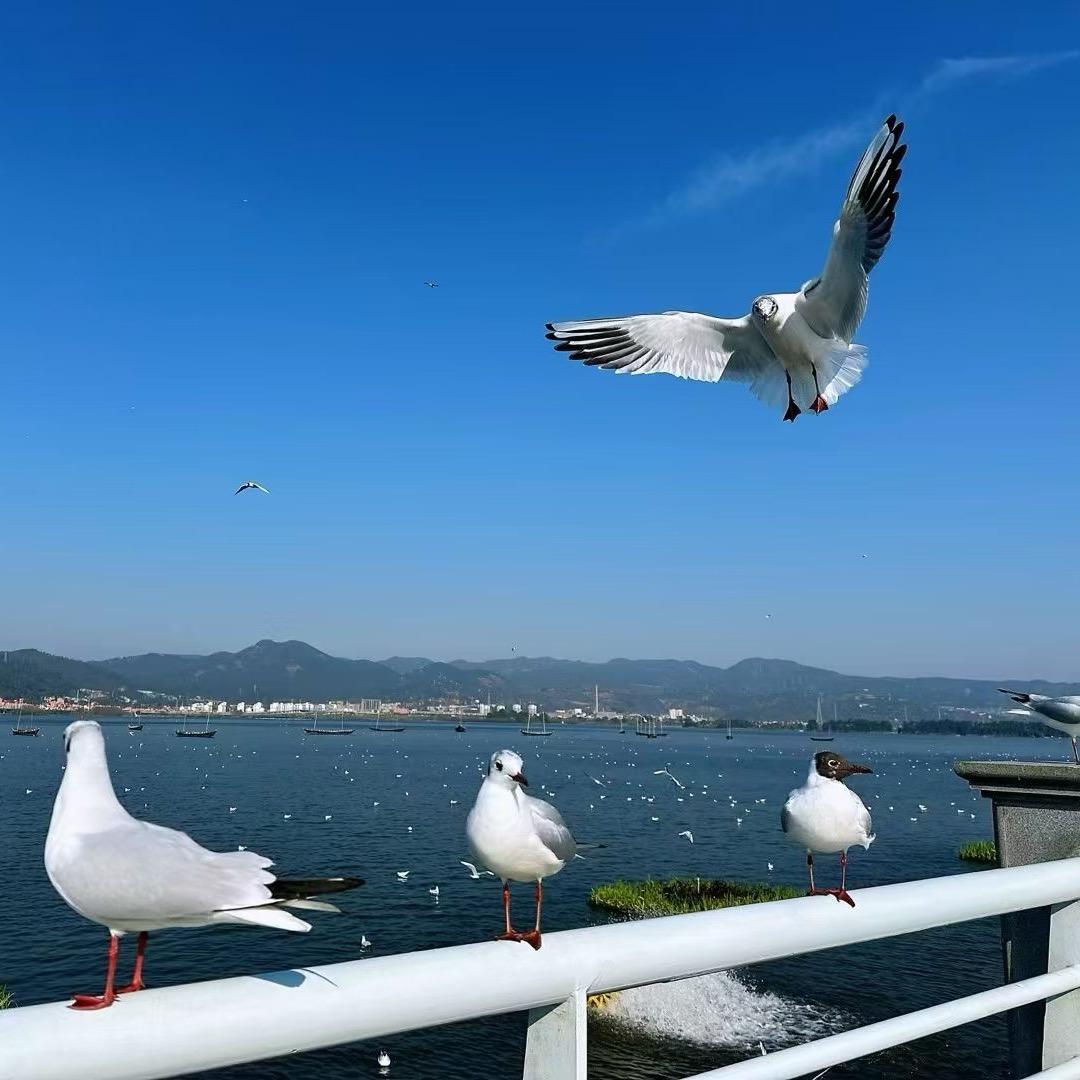 一谦