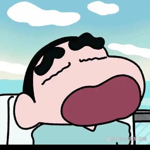 弹幕小强