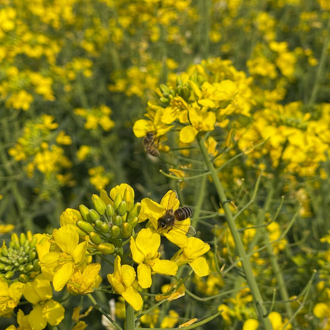 半生遗憾，半生梦