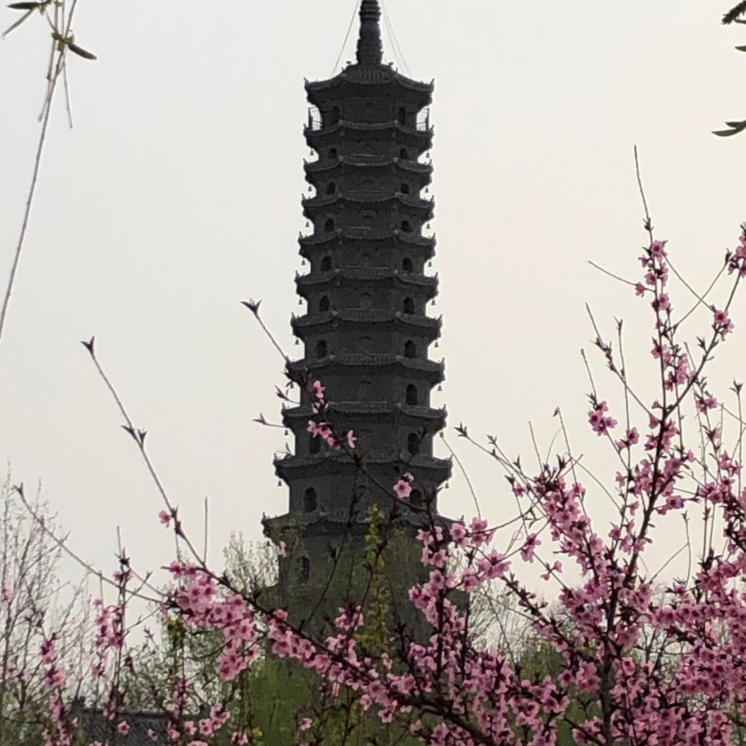 一威动力