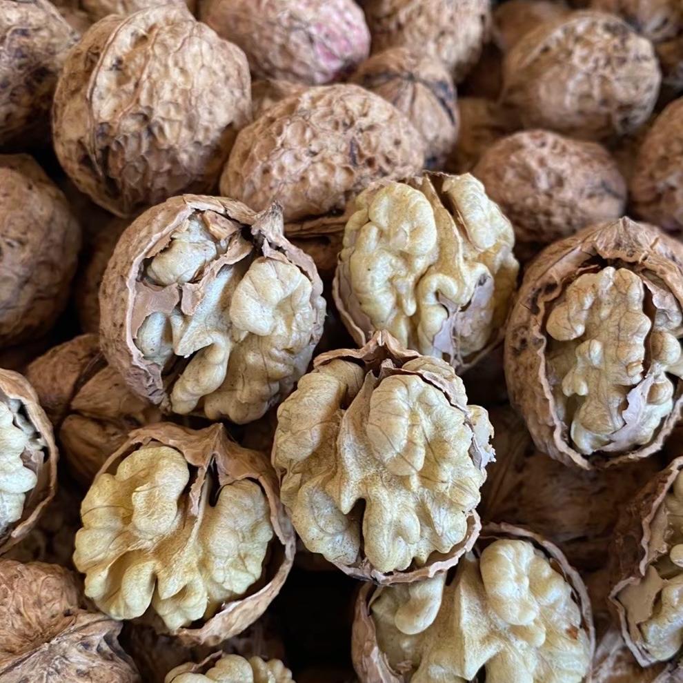 云南漾濞老山村薄皮核桃