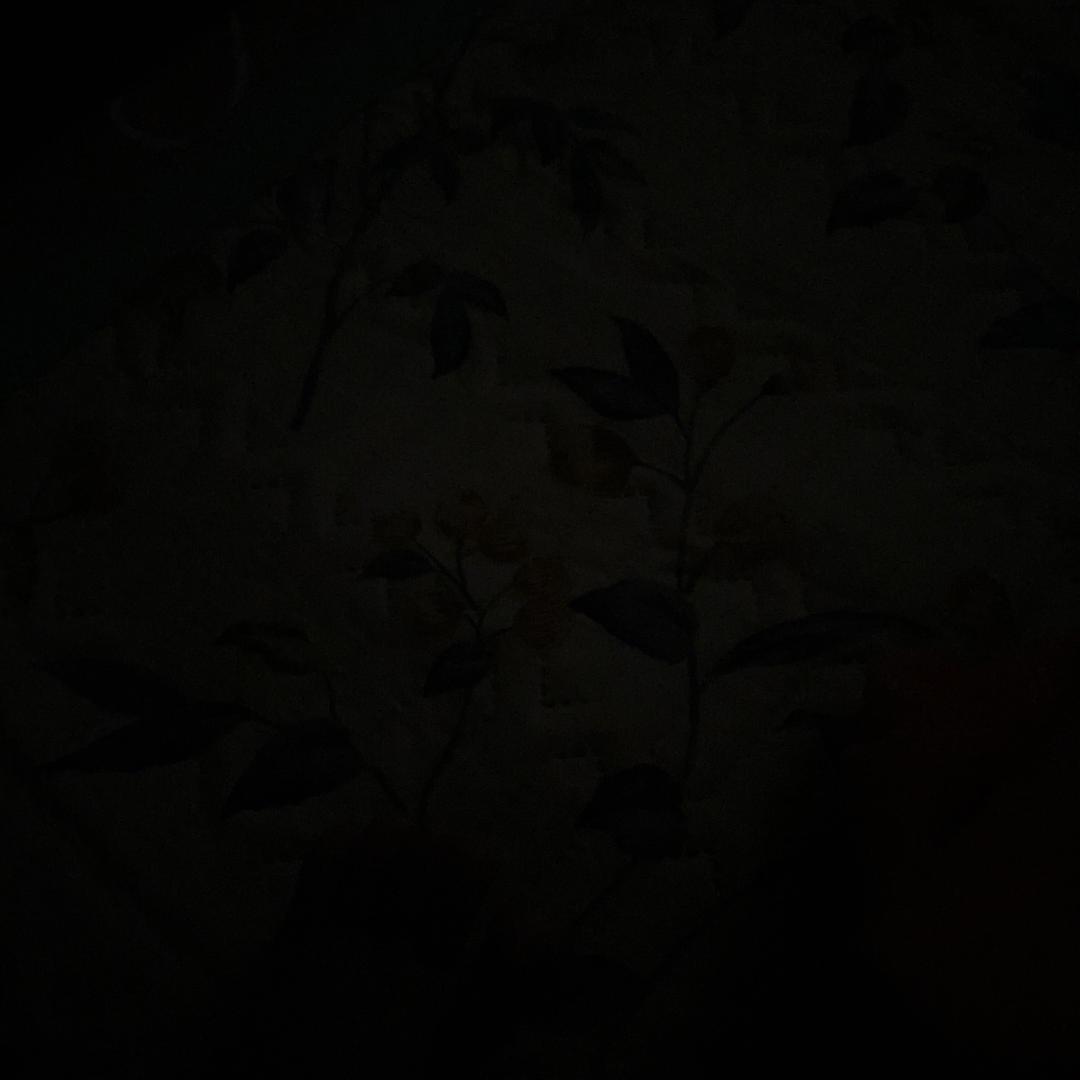 南乔