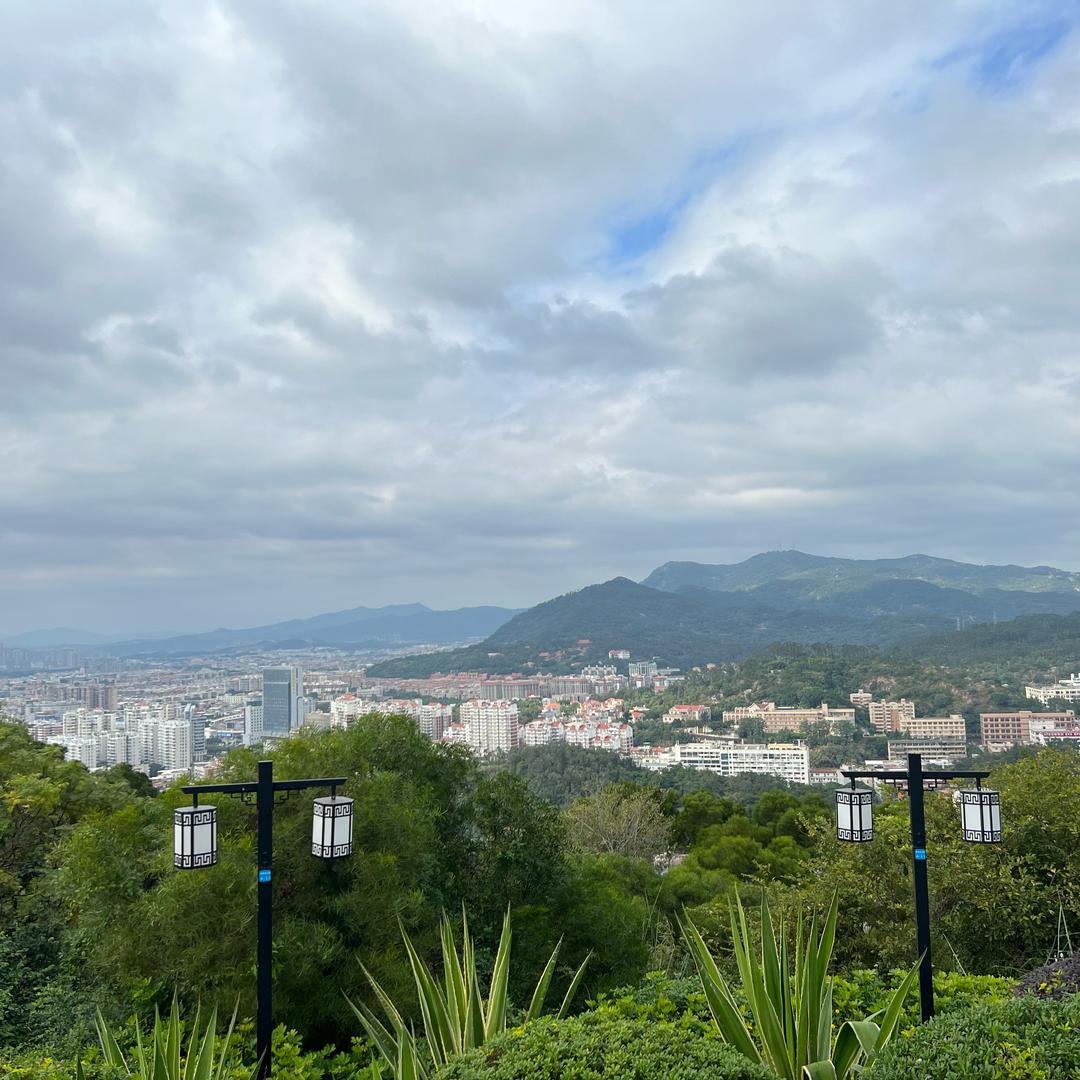 燕(商品在橱窗)