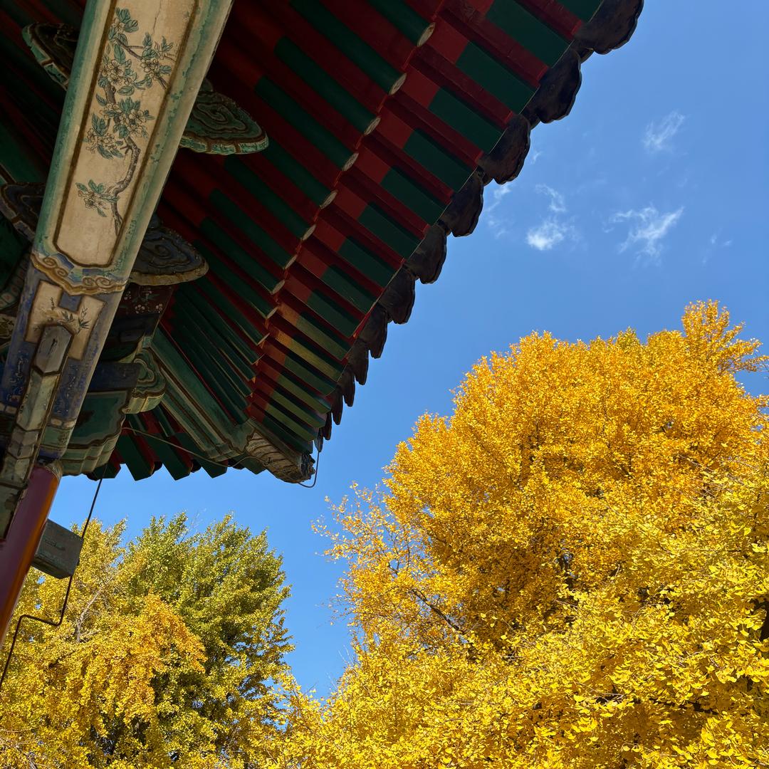 又是美好的一天呀