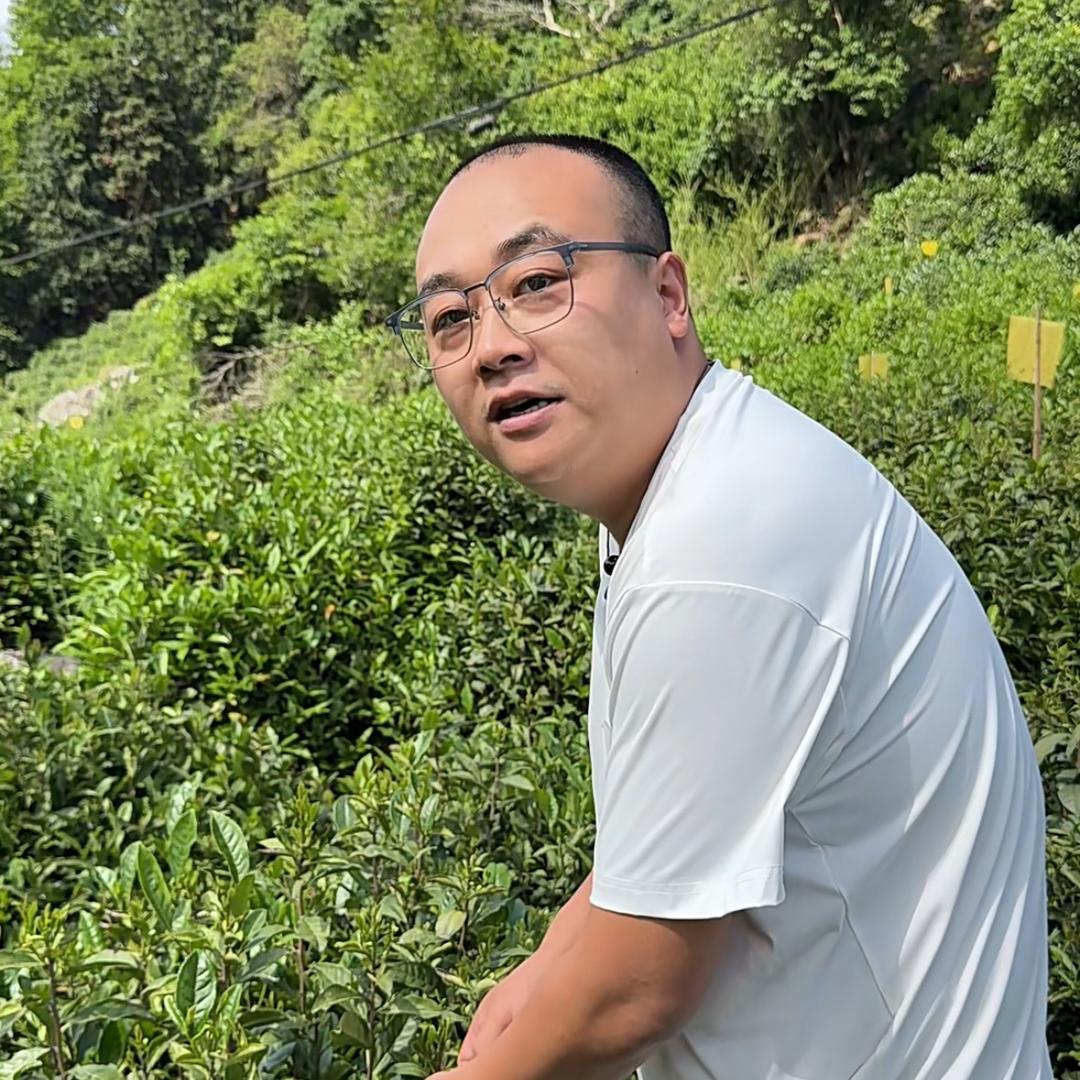 牛祁仕(胖哥的茶)