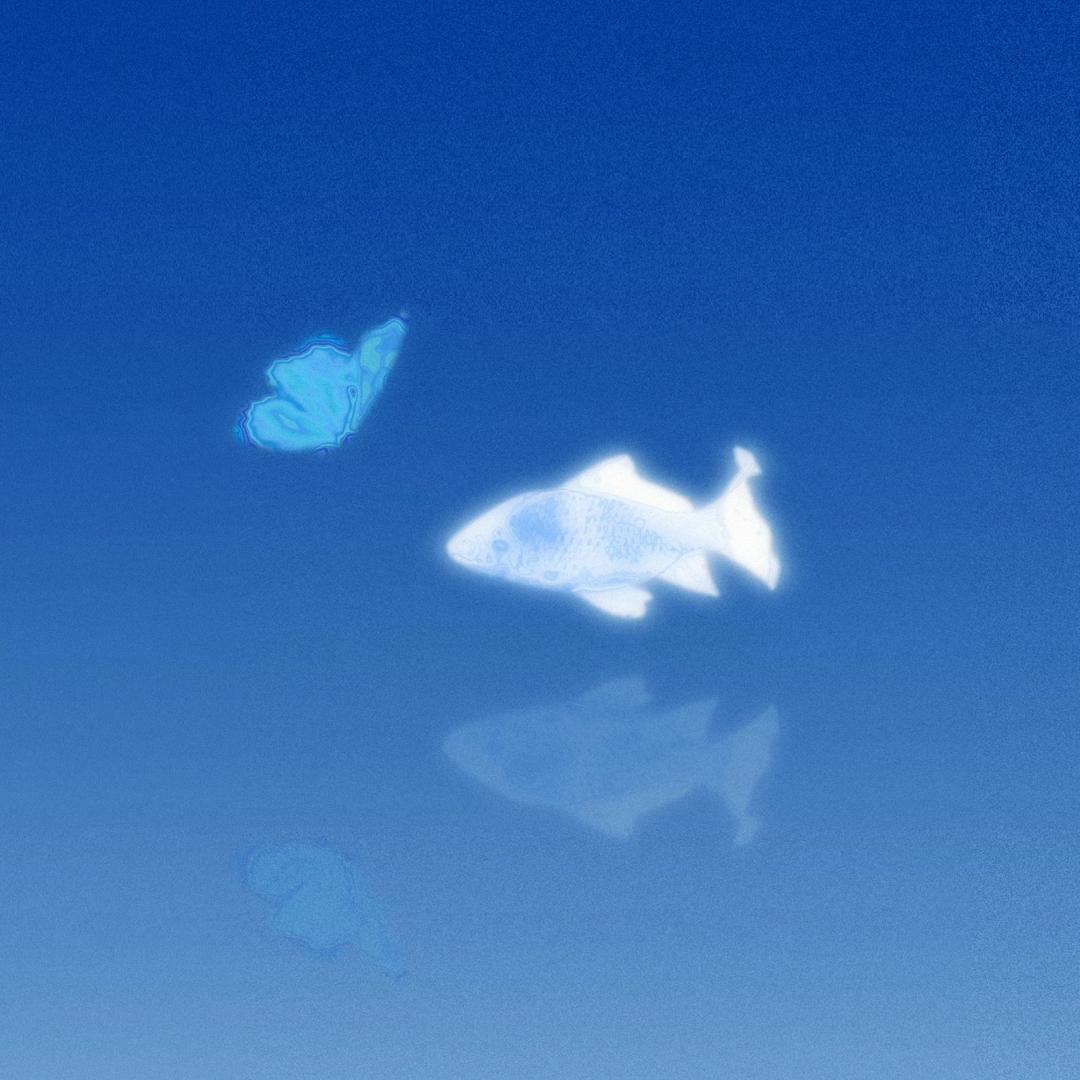 鱼儿快快游