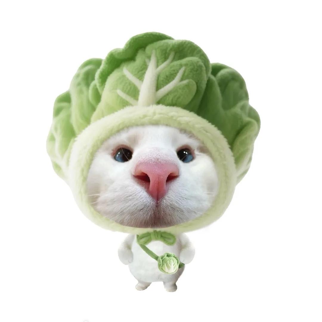 菜叶子菜