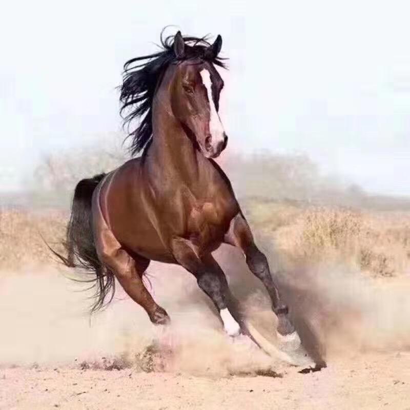 ༺ 静💕 悟💙茶🪷 品༻