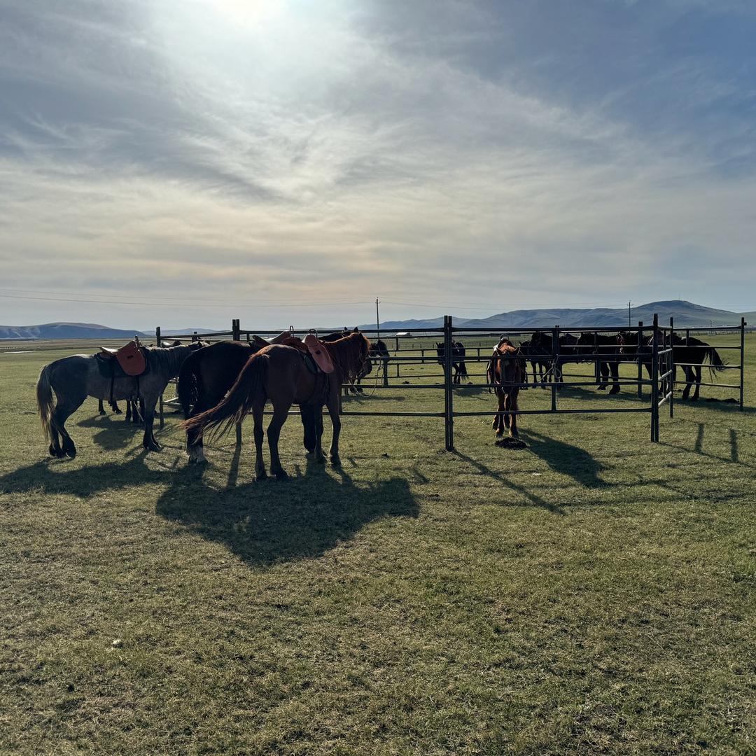 黑山头安洋骑马场