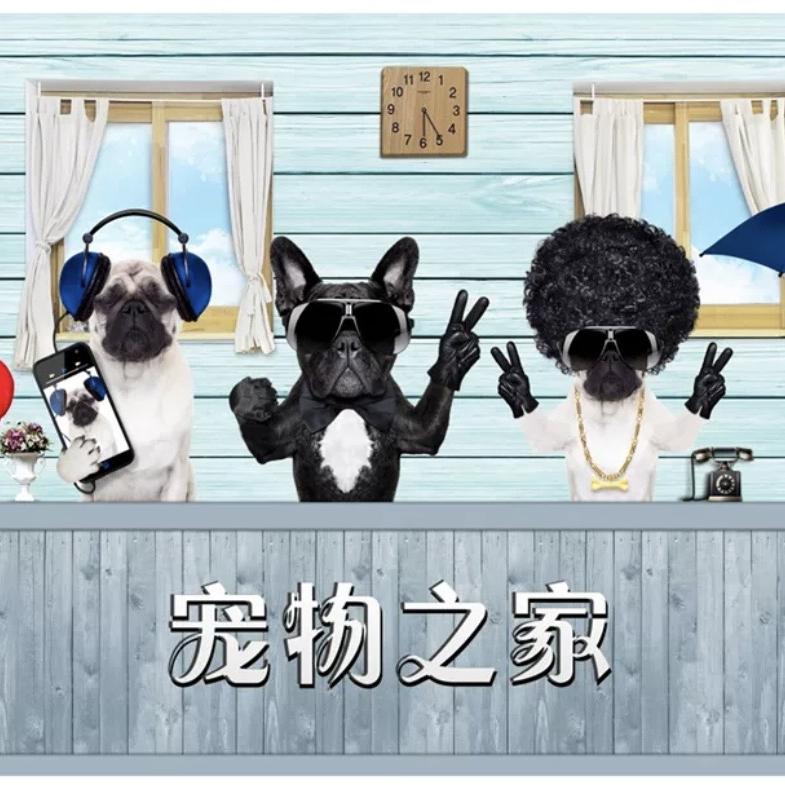 宠爸训犬
