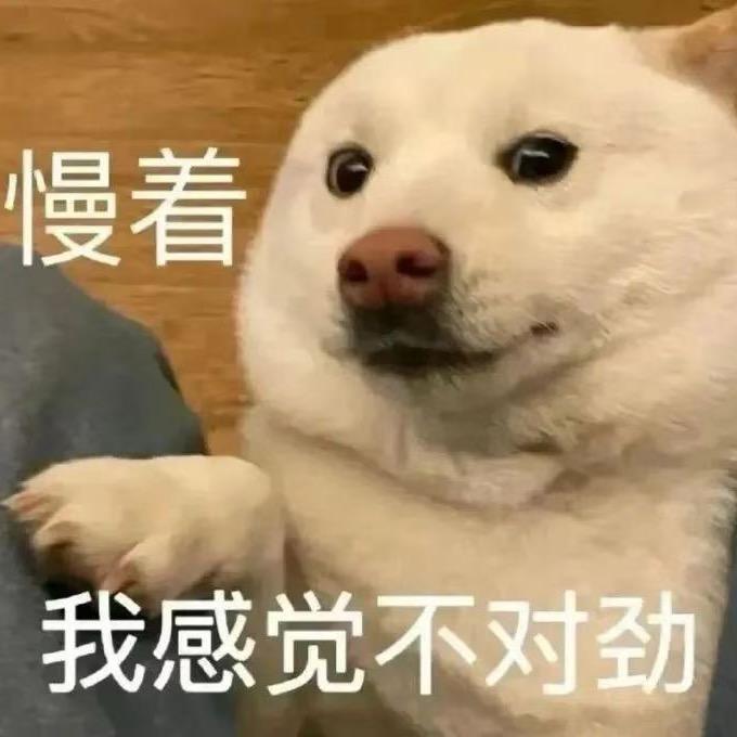 毛同学