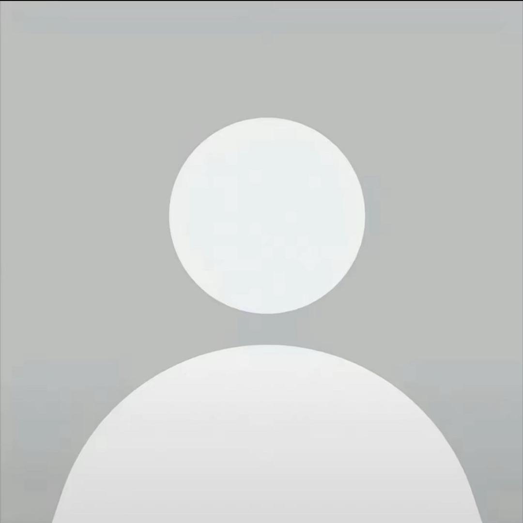 用户9131