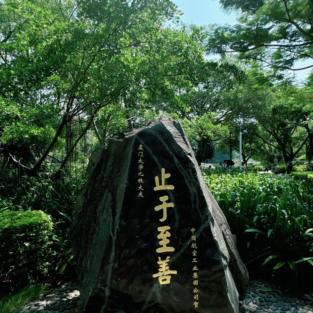 牛牛