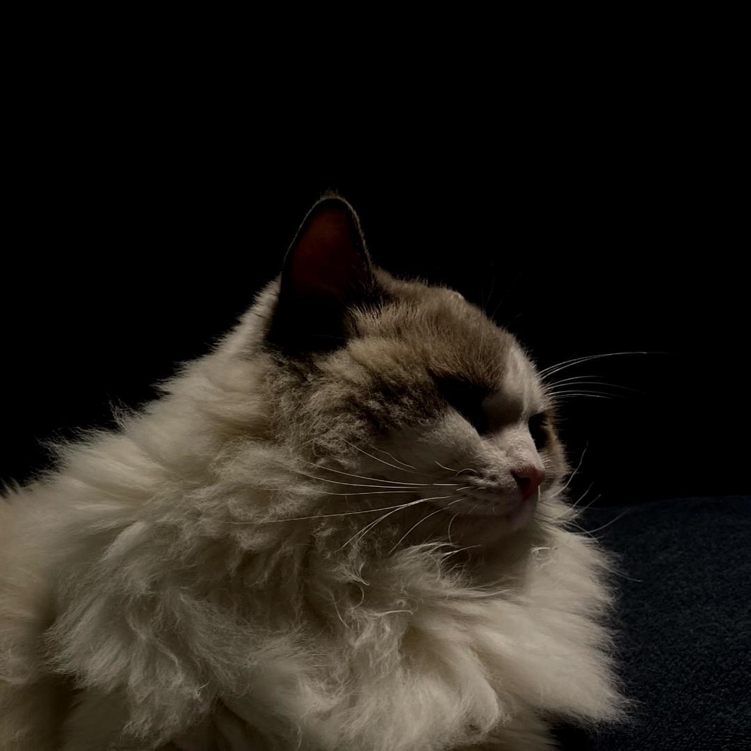 ONE