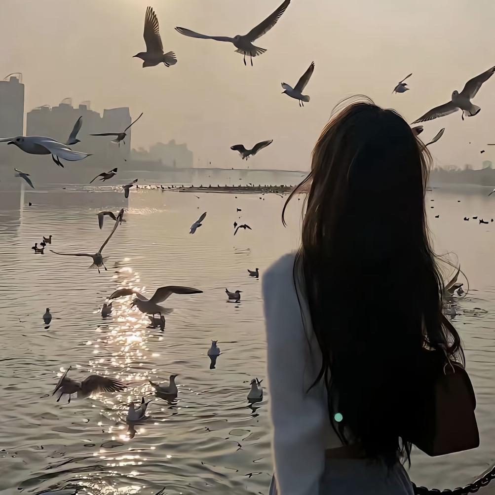 维创小猪唏哩呼噜