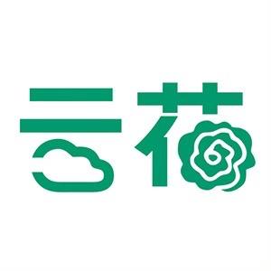 云花批发丨阳光