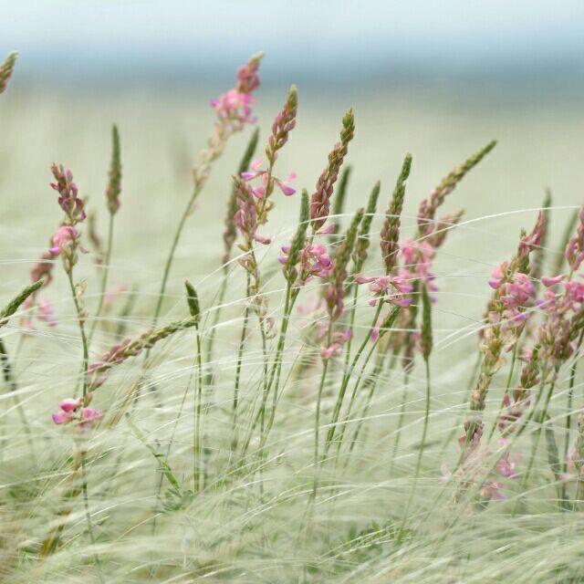 ꧔ꦿ᭄金南笙࿐