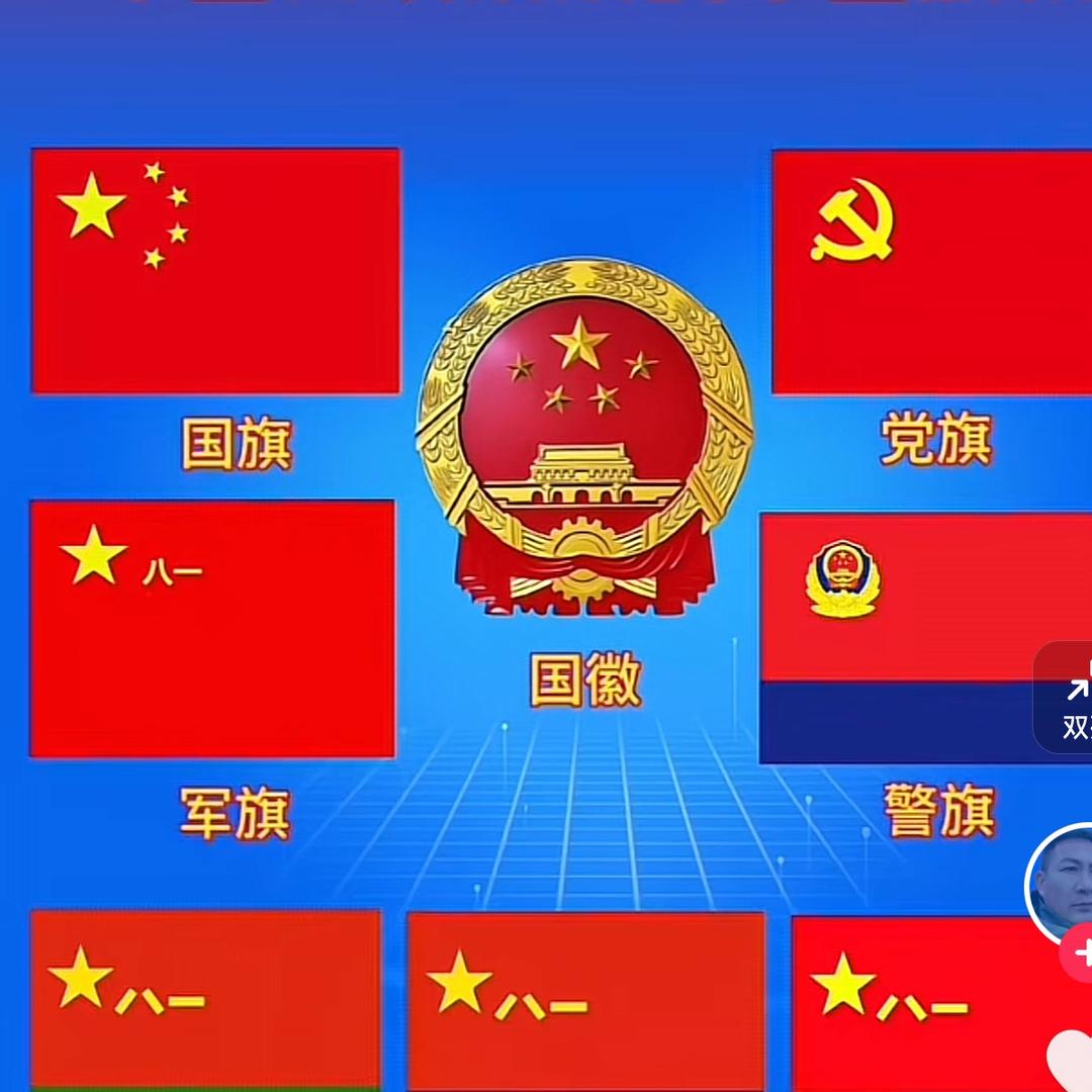 肥嘟嘟的小马达