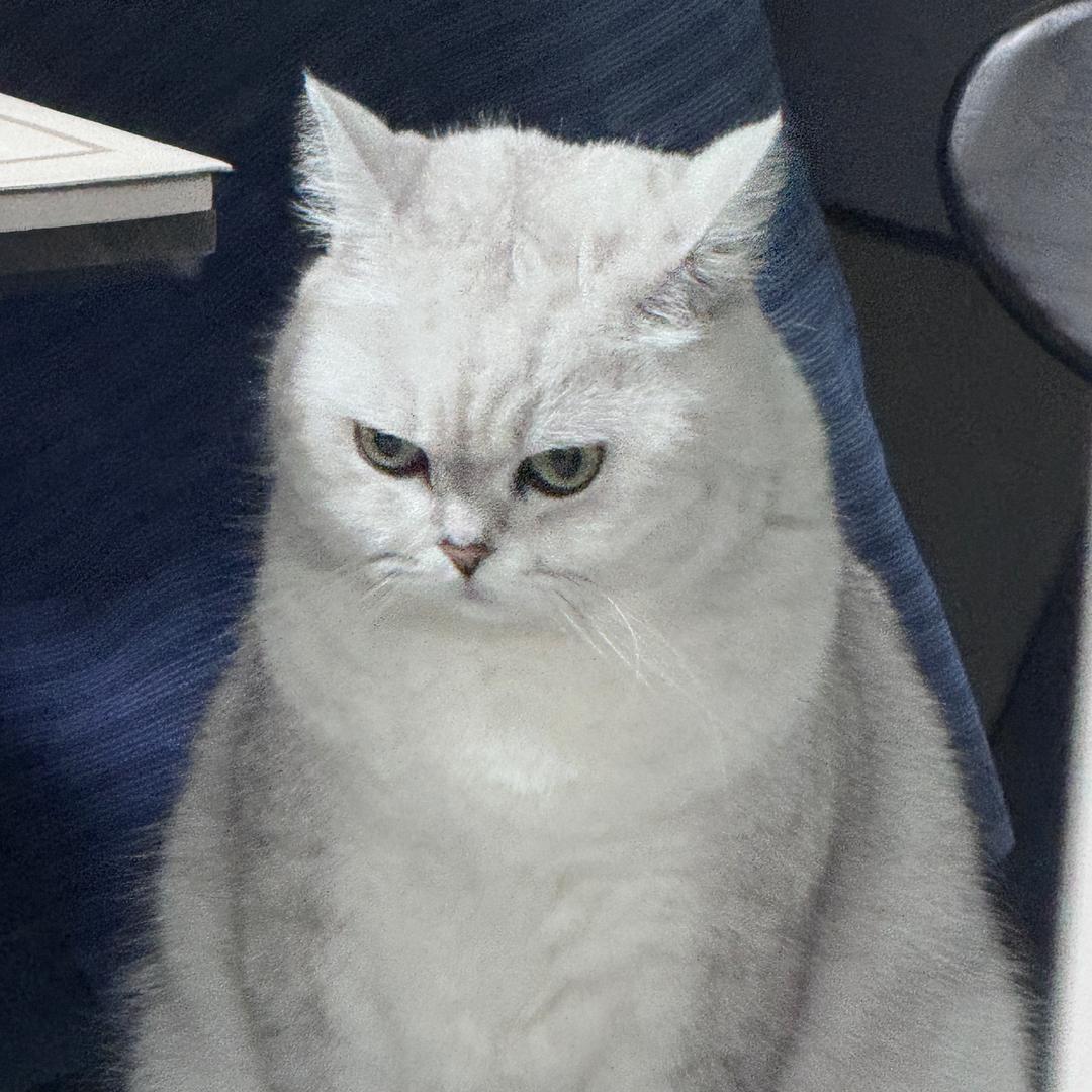 没有好听的名字