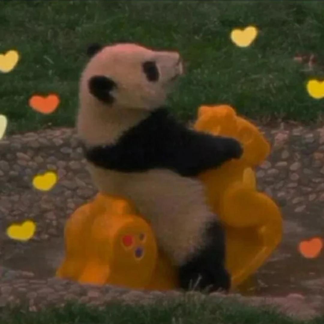 菠萝不如黑凤梨