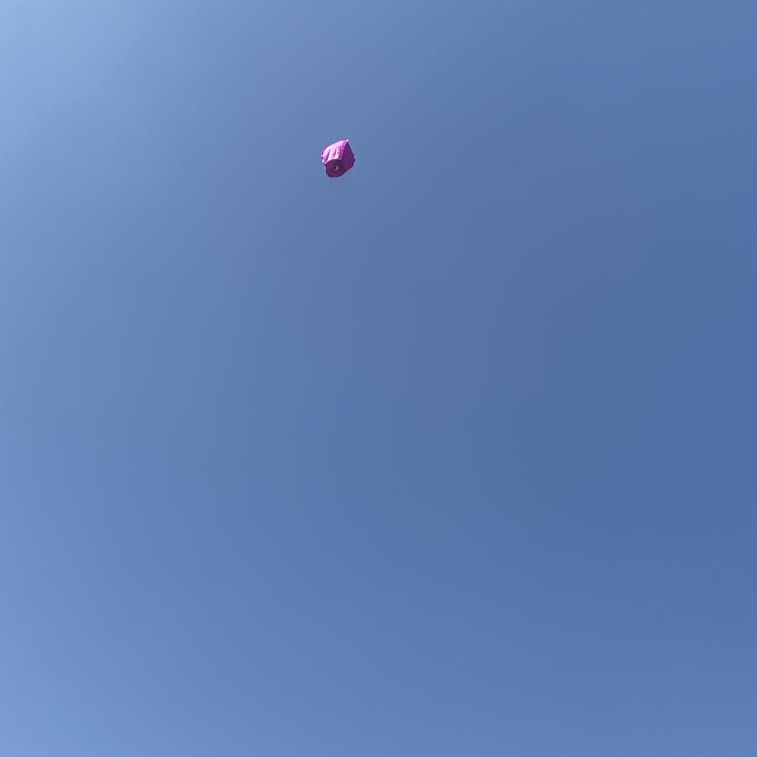 95982474344