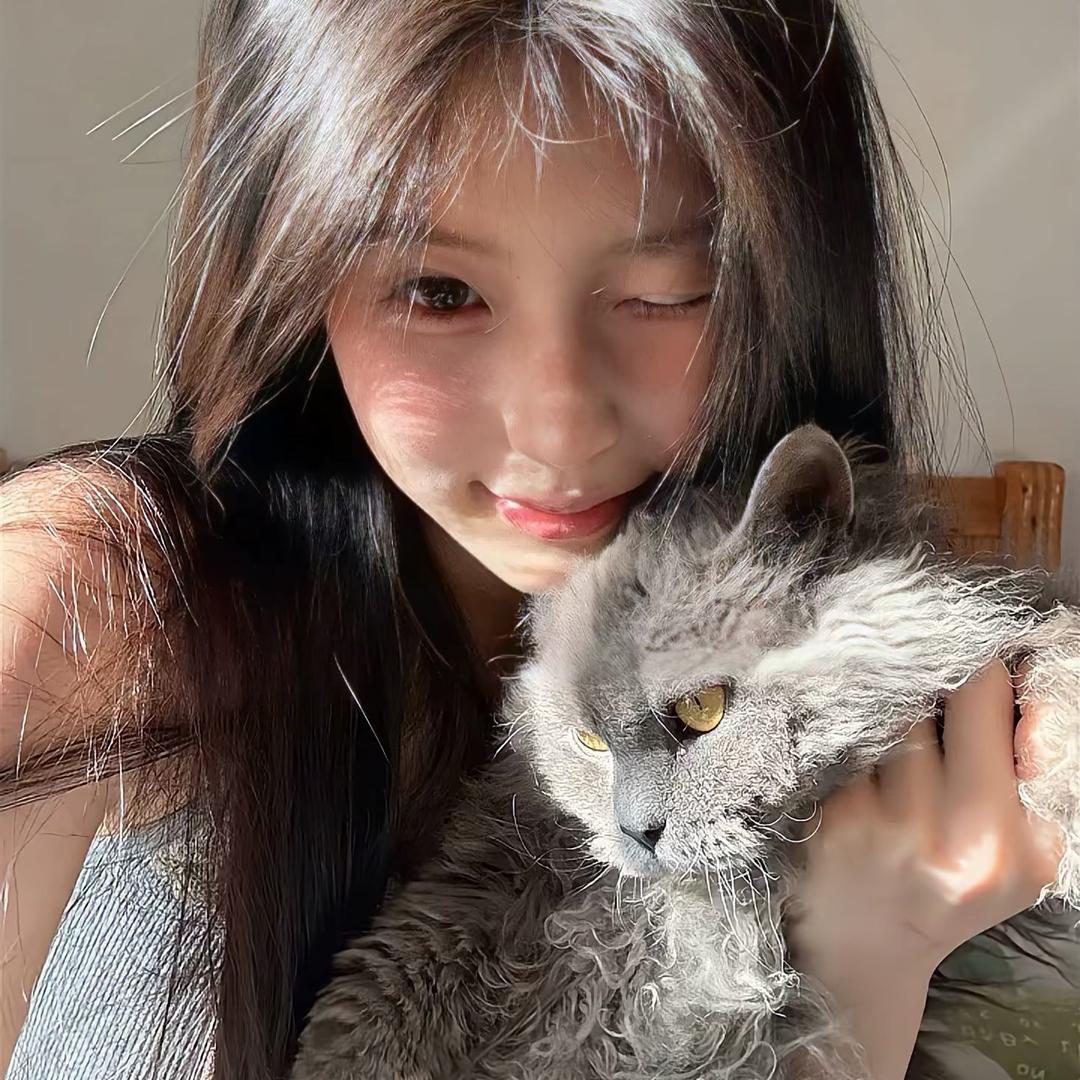 睡个好觉💤