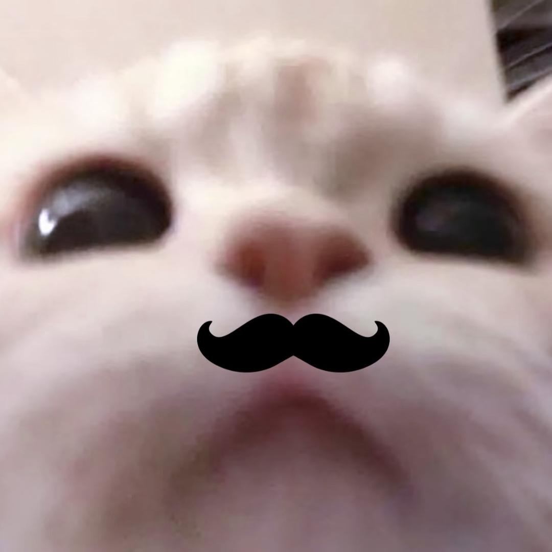 个贝贝一脚