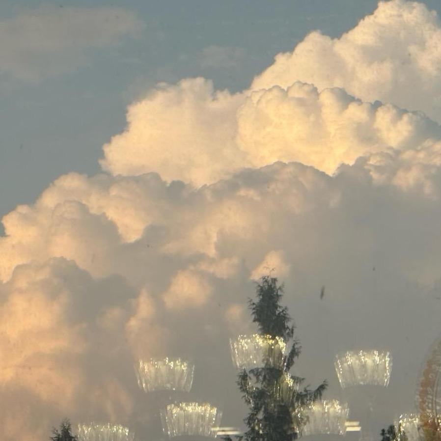 不是发发是花花