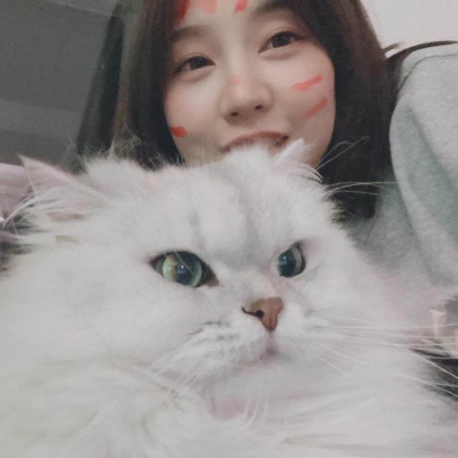 新东方阿达老师