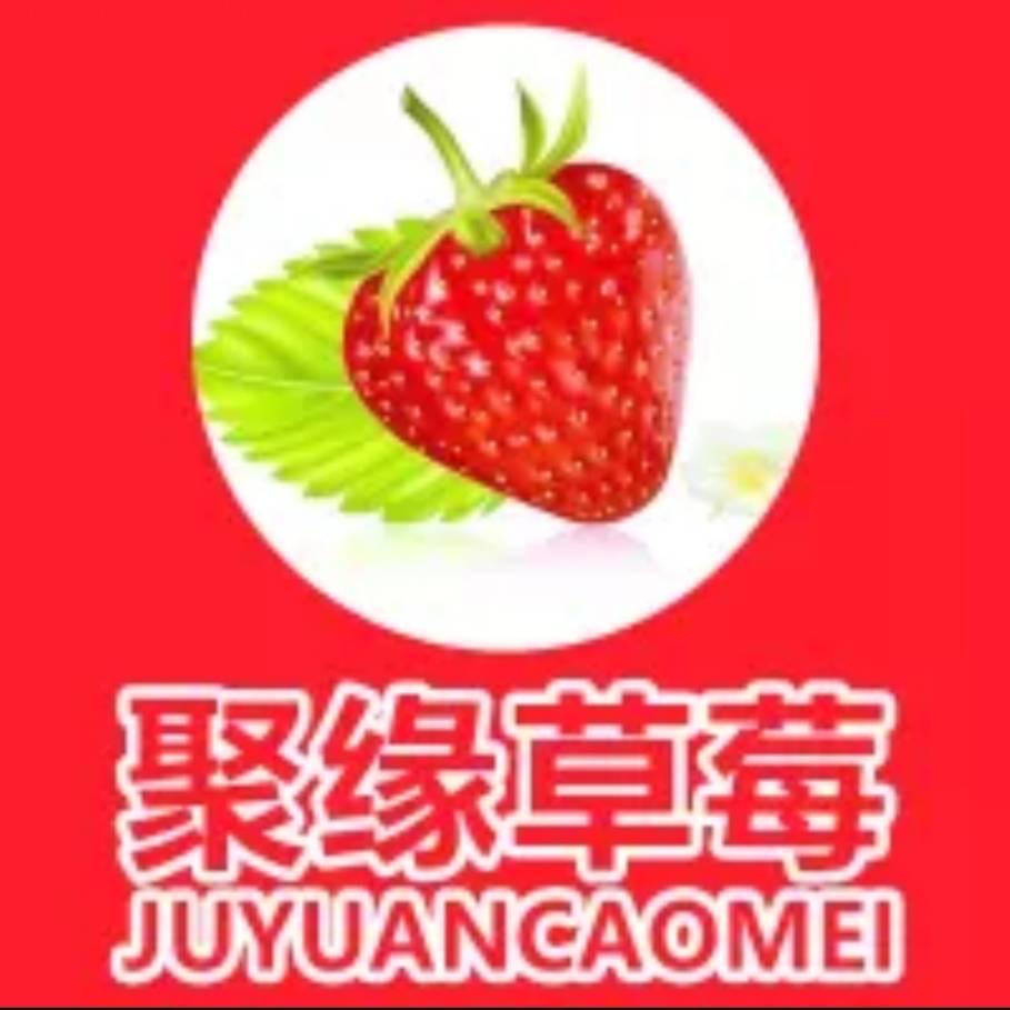 【耘之路农业】聚缘讲草莓
