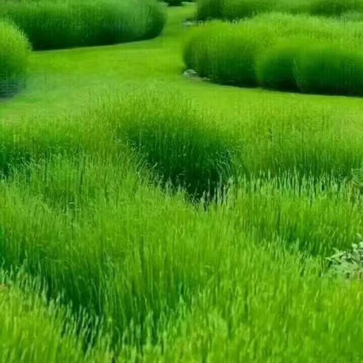 天泽润