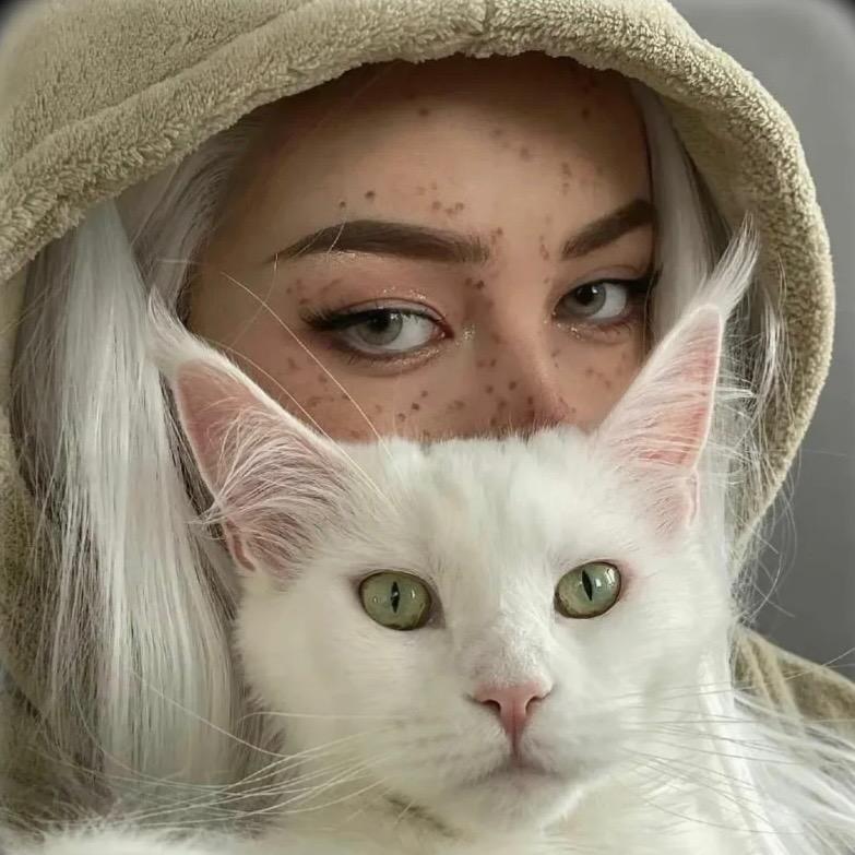 ﮼مەدىنە﮼
