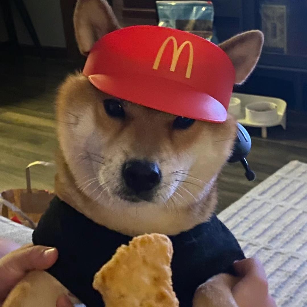 今天比昨天还困🥱