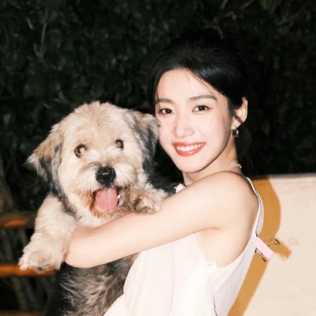 是杨不是🐑