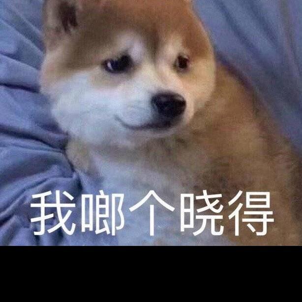 小南瓜呀