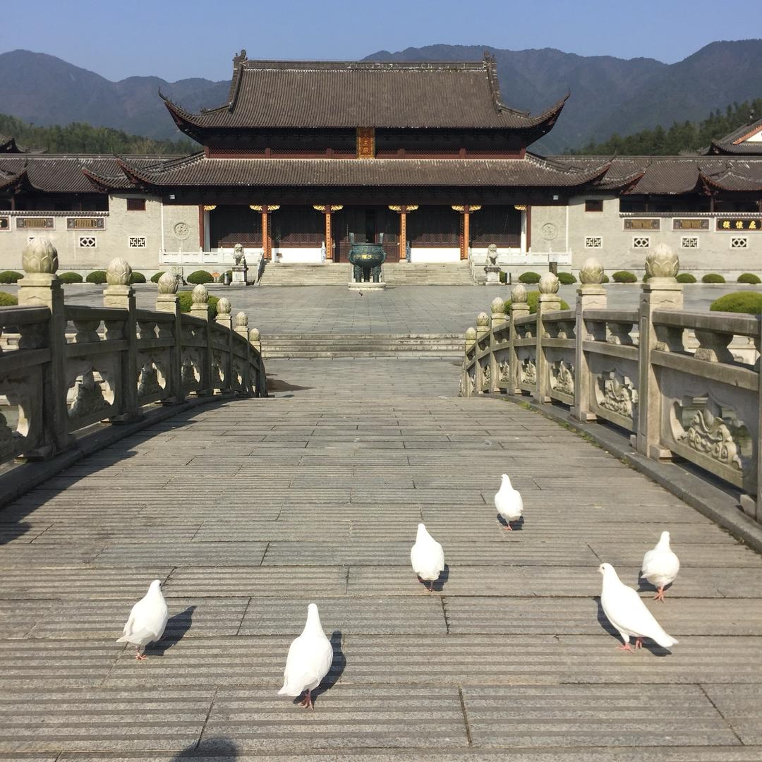 大道至简～Z